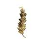 Palme Ordonnance Or