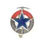 Insigne Brevet Alpiniste Militaire BAM