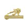 Brevet Militaire Sportif Or (non contractuel)