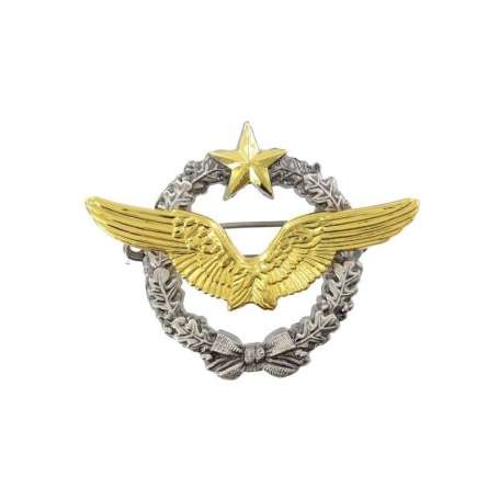 Insigne Brevet Pilote Armée De L'Air