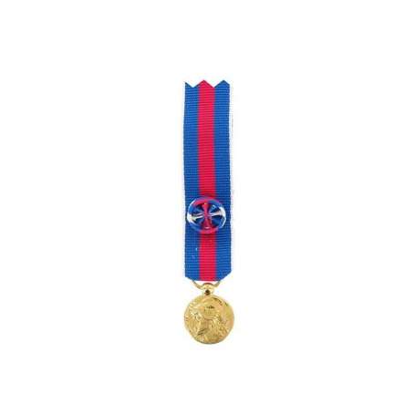 Réduction De Médaille Des Services Militaires Volontaires Or SMV