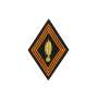 Ecusson Losange Chasseur Parachutiste Officier Sur Velcro