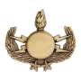 Insigne Brevet NEDEX CMD