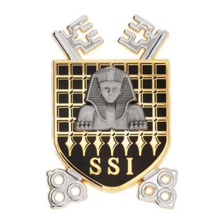 Insigne Brevet SSI Sécurité Des Systemes D'Information