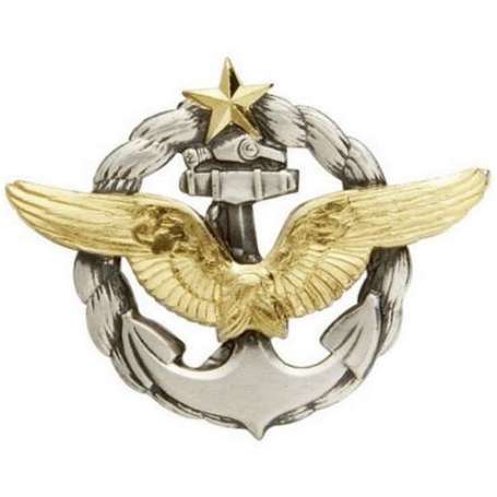 Insigne Brevet Pilote De L'Aéronavale