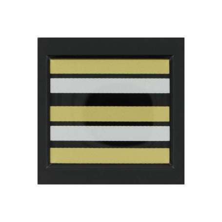 Galon de Poitrine Lieutenant-Colonel Résine Sur Scratch Gendarmerie Mobile