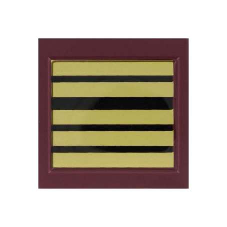 Galon de Poitrine Médecin Colonel Résine Sur Scratch Sapeurs Pompiers