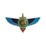 Insigne Brevet SAS RAPAS Bronze 1°RPIMA