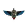 Insigne Brevet SAS RAPAS Argent 1°RPIMA