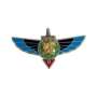 Insigne Brevet SAS RAPAS Or 1°RPIMA