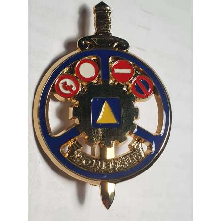 Insigne Brevet Moniteur De Conduite Or FRAC