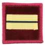 Galon de Poitrine Lieutenant Médecin Souple Sur Scratch Sapeurs Pompiers