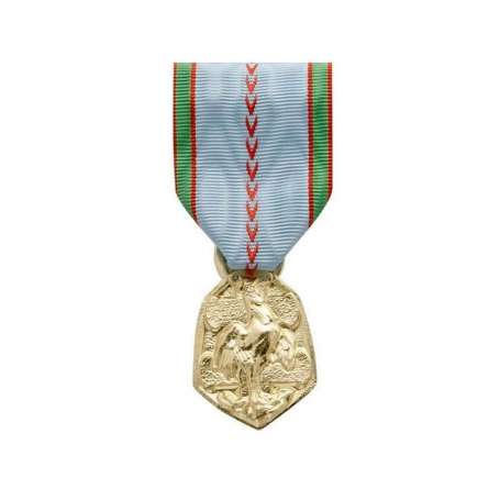 Médaille Commémorative 39-45 Ordonnance