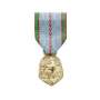 Médaille Commémorative 39-45 Ordonnance