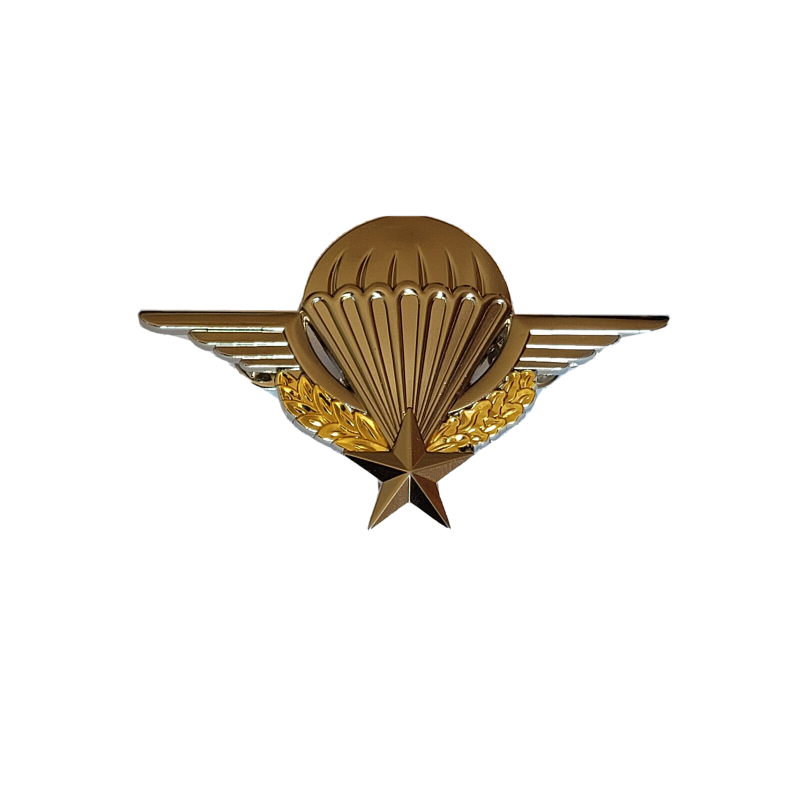 Insigne Brevet Parachutiste Métallique Argenté - Avec Emplacement Pour Numéro De Brevet + 2 Pin's Solides