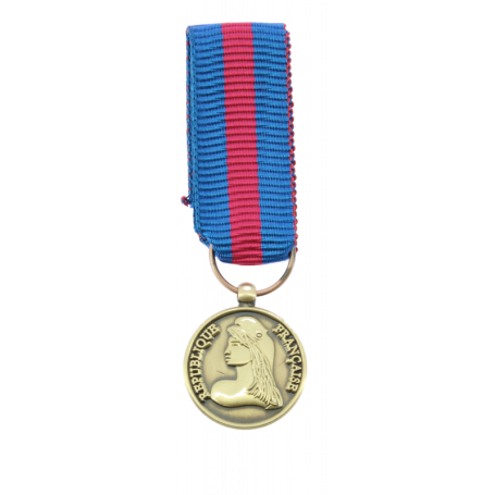 Réduction De Médaille Des Réserviste Volontaire de Défense et de Sécurité Intérieure Bronze RVDSI