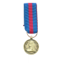 Réduction De Médaille Des Réserviste Volontaire de Défense et de Sécurité Intérieure Bronze RVDSI