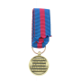Réduction De Médaille Des Réserviste Volontaire de Défense et de Sécurité Intérieure Bronze RVDSI