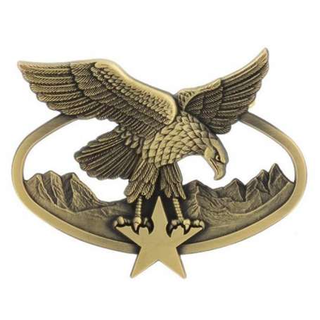 Insigne Brevet Alpiniste Et Skieur Militaire Troupes de Montagne