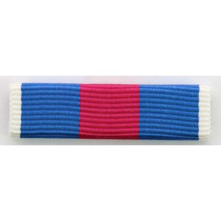 Barrette Dixmude réservistes volontaires de défense et de sécurité intérieure Argent