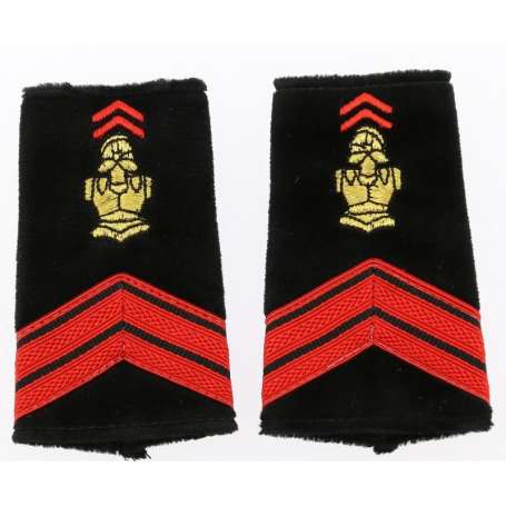 Paire de Fourreaux d'Épaule Caporal du Génie