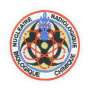 Écusson Cellule NRBC Nucléaire Radiologique Biologique Chimique de la Gendarmerie Nationale Sur Scratch