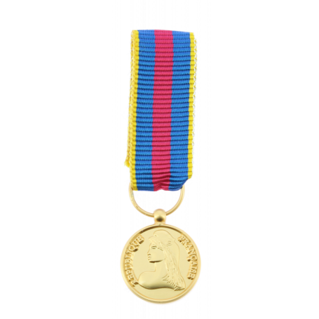 Réduction De Médaille Des Réserviste Volontaire de Défense et de Sécurité Intérieure Or RVDSI