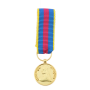 Réduction De Médaille Des Réserviste Volontaire de Défense et de Sécurité Intérieure Or RVDSI
