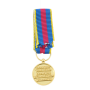 Réduction De Médaille Des Réserviste Volontaire de Défense et de Sécurité Intérieure Or RVDSI