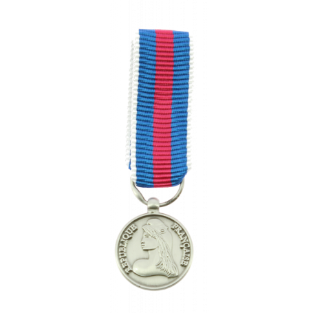 Réduction De Médaille Des Réserviste Volontaire de Défense et de Sécurité Intérieure Argent RVDSI