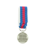 Réduction De Médaille Des Réserviste Volontaire de Défense et de Sécurité Intérieure Argent RVDSI