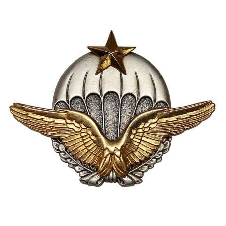 Insigne Brevet Parachutiste Militaire Air BPMA