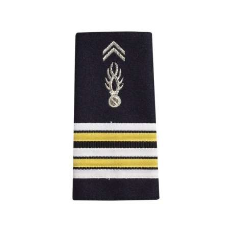 Paire de Fourreaux d'Épaule Souple Homme Lieutenant-Colonel Gendarmerie Nationale