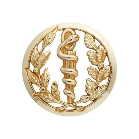 Pin's de Calot du service de Santé des Armées