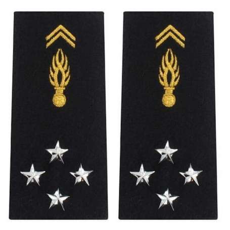 Paire de Fourreaux d'Épaule Souple Homme Général de Corps d'Armée Gendarmerie Nationale