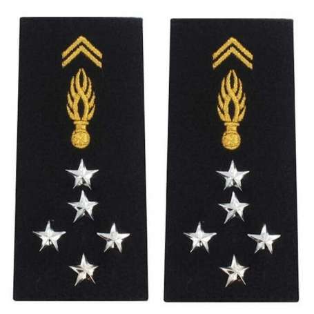 Paire de Fourreaux d'Épaule Souple Homme Général d'Armée Gendarmerie Nationale