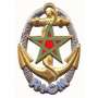 Insigne RICM Pucelle