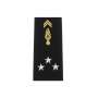 Fourreaux d'Épaule Homme Rigide Général de Division 3 étoiles Gendarmerie Nationale