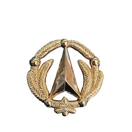 Insigne de Béret DGA Doré Direction Générale de l'Armement