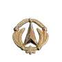 Insigne de Béret DGA Doré Direction Générale de l'Armement