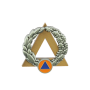 Insigne Moniteur Secourisme Argent Sapeurs Pompiers