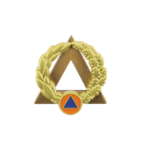 Insigne Instructeur Secourisme Or Sapeurs Pompiers