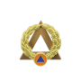 Insigne Instructeur Secourisme Or Sapeurs Pompiers