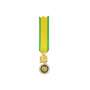 Réduction De Médaille de la Médaille Militaire La Jaune