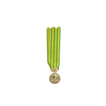 Réduction De Médaille Commémorative d'Indochine