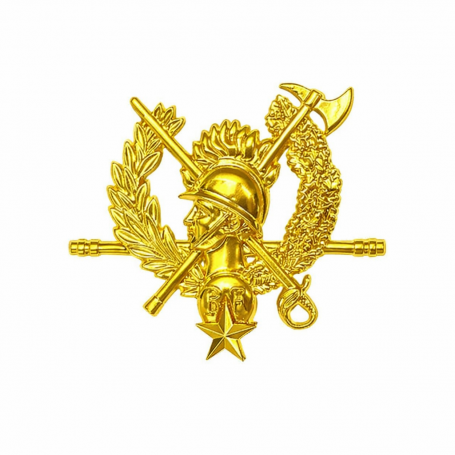 Insigne Chef De Corps Or Sapeurs Pompiers