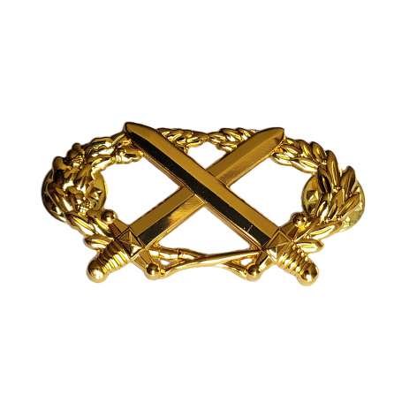 Insigne Brevet Militaire Professionnel Niveau 2 BMP2 / BSTAT