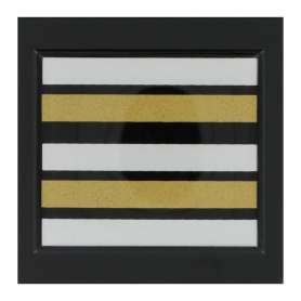 Galon de Poitrine Lieutenant-Colonel Résine Sur Scratch Sapeurs Pompiers