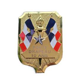Insigne Porte Drapeau 10 Ans Ordonnance