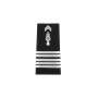 Fourreaux d'Épaule Rigide Homme Colonel Gendarmerie Nationale